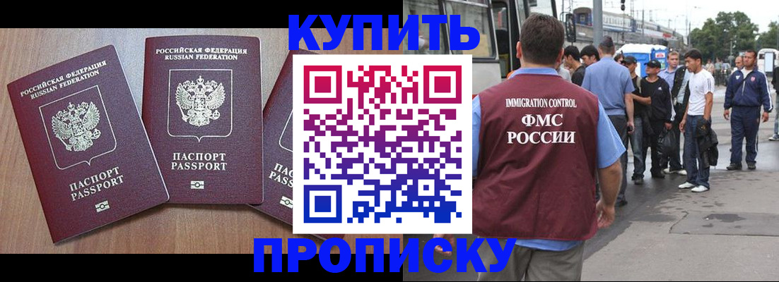 прописка 2025 в Кувшиново